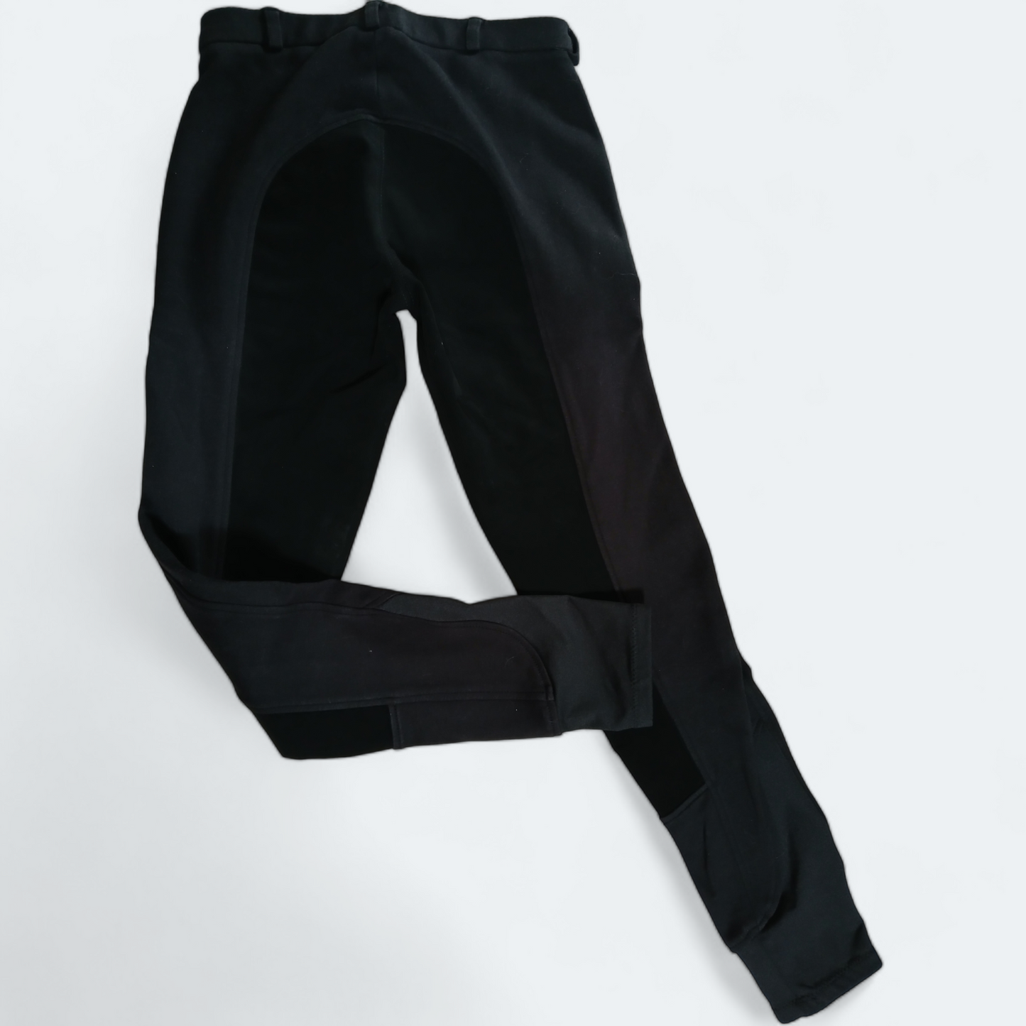 Covalliero / Reithose / 36